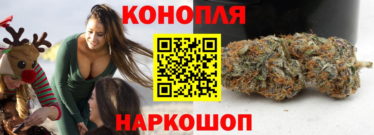 Канабис семена  Бошки Шишки семена  Петрозаводск  Вход с VPN  Канабис Ganja 